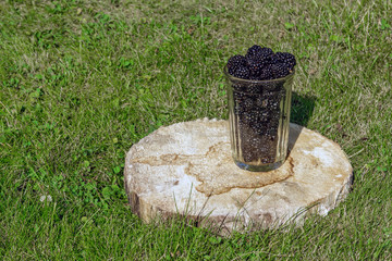 Blackberry harvest in glass