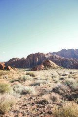 snow canyon