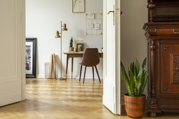 Plant next to door in white workspace interior with chair at desk next to gold lamp. Real photo