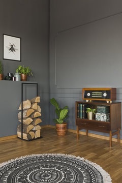 Round rug in grey retro living room interior with radio on cabinet next to firewood. Real photo