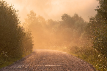 Country road running into the mist on a warm summer morning