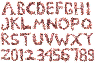 Alphabet from coffee beans. Isolated on white background.