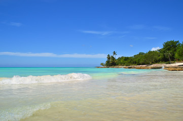 plot of the beach, coastline of the Caribbean Sea, beautiful azure sea, green tropical vegetation, against the blue sky