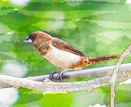 water color of bird in green background.