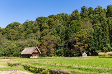 Fototapeta premium Wooden old house in Shirakawago