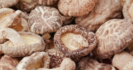 Heap of dried dry mushroom