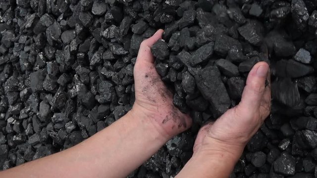 Man takes in hands charcoal anthracite