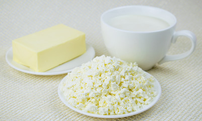 A set of dairy products: milk, cottage cheese, butter on a light background.