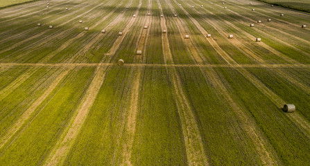 Aerial view of a green field with round haystacks. Wastes from agro-industry. Feed for livestock. Pattern