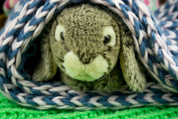 A toy rabbit in a burrow made of knitted fabric.