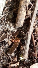 loOkinG Small BuT wOrKInG Hard