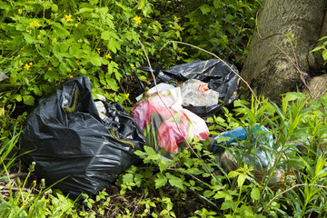 Thrown trash in the forest - obrazy, fototapety, plakaty