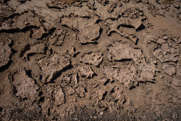 cracked clay ground into the dry. Dry cracked ground filling the frame as background. background of dry earth texture. the dried up swamp close up.