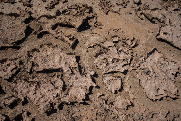 cracked clay ground into the dry. Dry cracked ground filling the frame as background. background of dry earth texture. the dried up swamp close up.