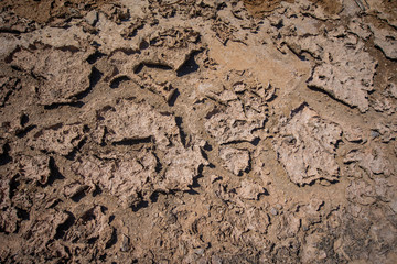 cracked clay ground into the dry. Dry cracked ground filling the frame as background. background of dry earth texture. the dried up swamp close up.