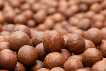 Macadamia fruit In the factory before packaging
