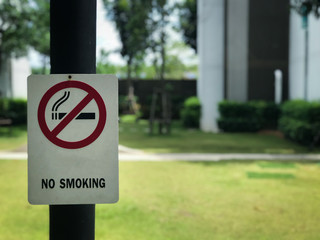 no smoking sign in the park.