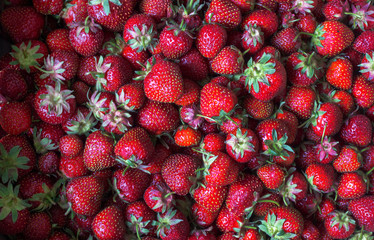 background of ripe red strawberries. Summer harvest