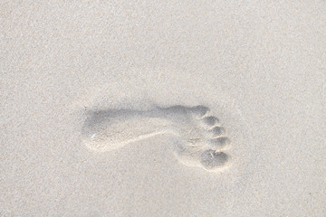 Footprints walking on the beach by the morning, The concept of walking destination