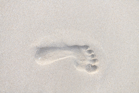 Footprints walking on the beach by the morning, The concept of walking destination
