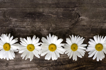  Composition from field daisies on an old wooden background