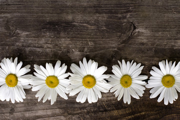 Obraz premium Composition from field daisies on an old wooden background