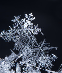 winter card, photo real snowflakes on snow