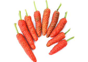 Top view fresh ripe piper longum isolated on white background,Long pepper ,Capsicum frutescens