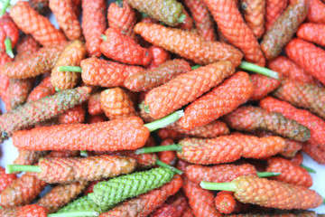 Top view fresh ripe piper longum on white background,Long pepper ,Capsicum frutescens