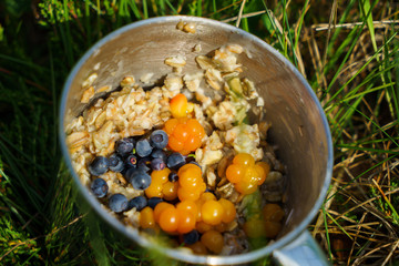 Steel cup oatmeal porridge with berries and blueberry on the grass