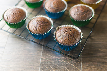 Baked chocolate cupcakes in blue and green foil liners for the holidays