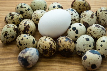 Quail eggs and chicken eggs on a wooden background.