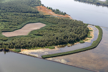 Environmental development new nature with canebrakes in estuary of Dutch river IJssel