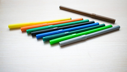 Set of multi-colored felt-tip pens on a light background.