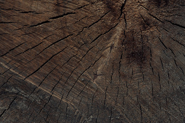 Fototapeta premium close-up view of dark brown cracked wooden textured background