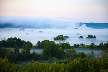 Beautiful landscape with trees in the fog