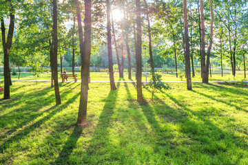 Senior woman sitting on wooden bench in beautiful green sunny park
