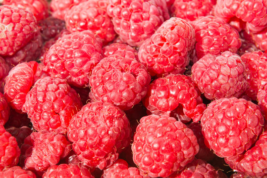 Heap of ripe juicy raspberries in wicker market box