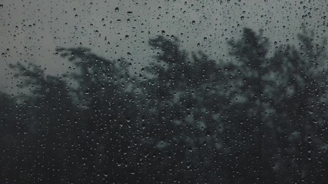 Storm - gray sky and blurred dark trees swaying on the strong wind. Look through window with water drops. Apocalyptic background. Rainy day, wet glass.