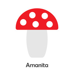 Amanita in cartoon style, card with fruit for kid, preschool activity for children, vector illustration