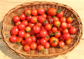Tomatoes.