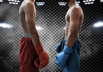 Two boxers on the ring
