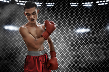 Boxer on the ring