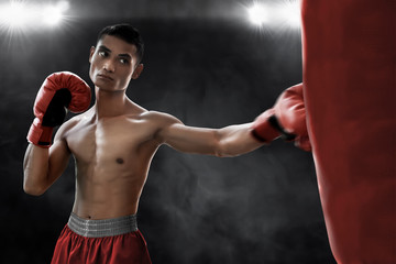 Boxer training with punching bag