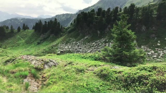 Pan shot of French Alsp mountain panorama
