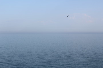  Birds fly over the sea after sunset