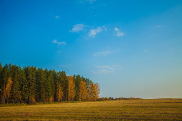 Красная горка