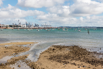 Hobson Bay beach at low tide with Auckland skyline in background, New Zealand