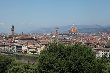 Fototapeta premium Florencja. Widok całego miasta