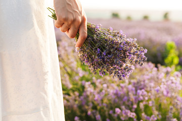 Photo of beautiful young woman in dress holding bouquet with flowers, while walking outdoor through lavender field in summer